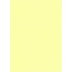 PaPago Canary Yellow Pastel 240gsm Card SRA2 sheet from...