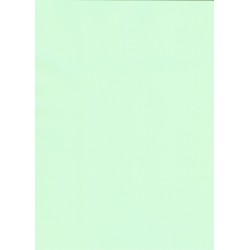 PaPago Green Pastel 240gsm Card SRA2 sheet from...